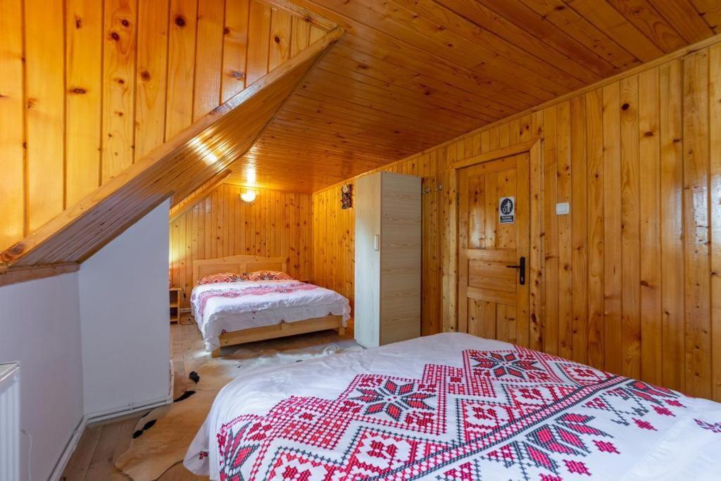Cabana Rausor Campulung Dış mekan fotoğraf