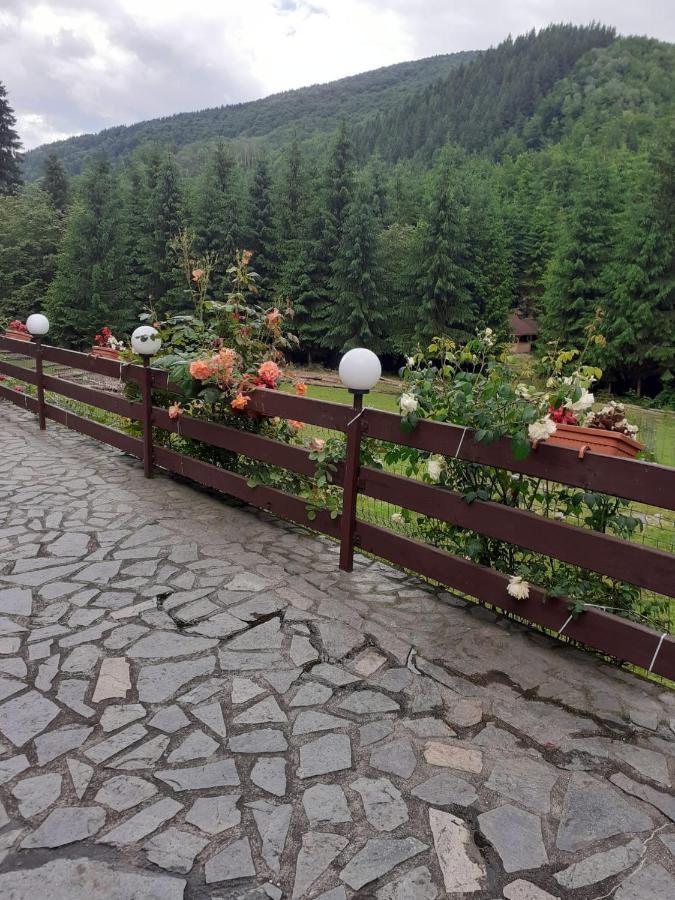 Cabana Rausor Campulung Dış mekan fotoğraf