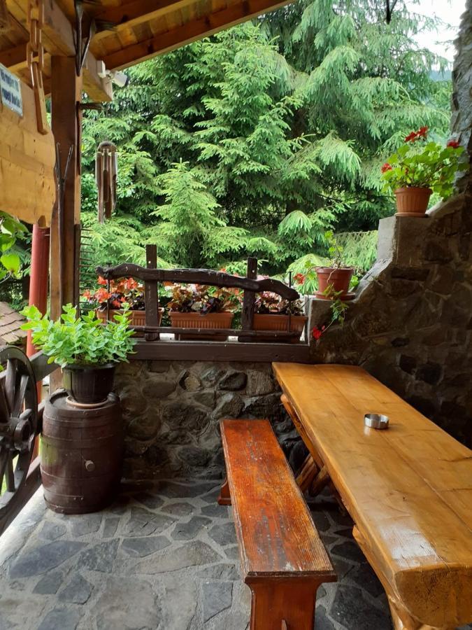 Cabana Rausor Campulung Dış mekan fotoğraf