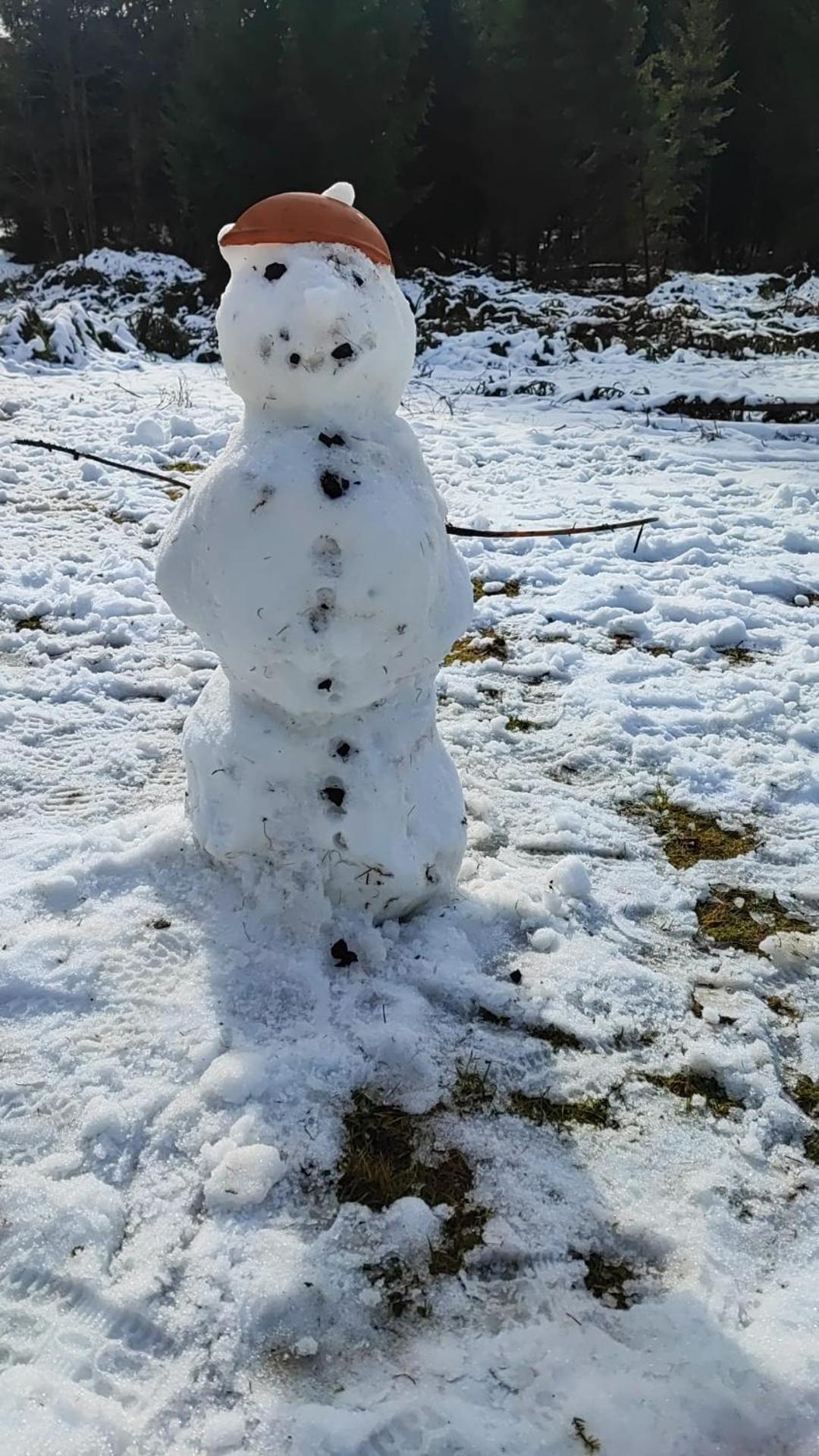 Cabana Rausor Campulung Dış mekan fotoğraf