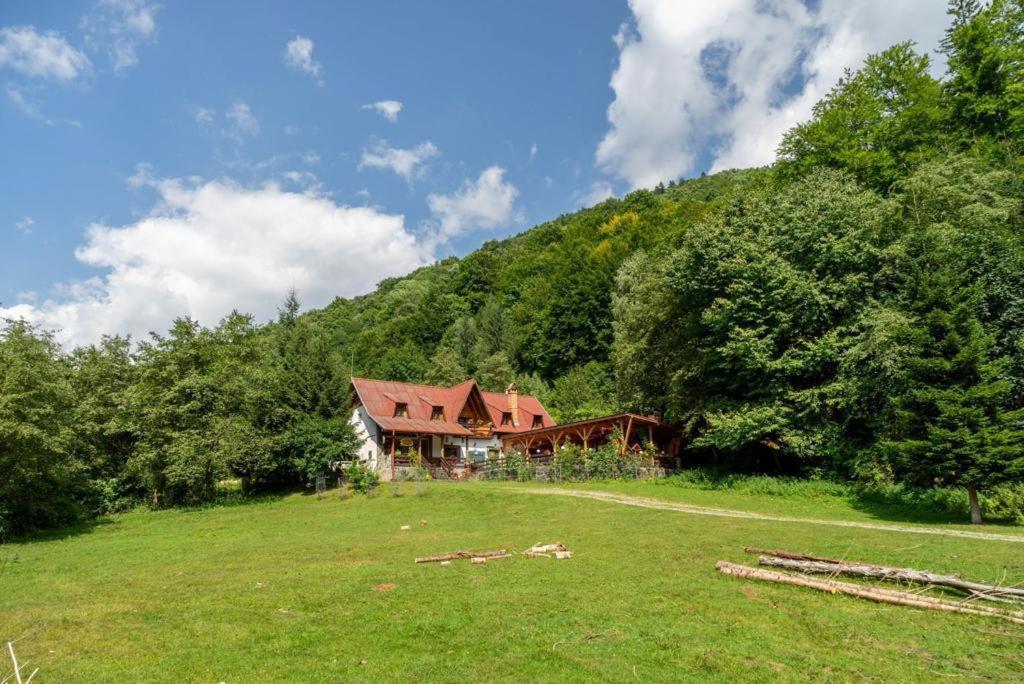 Cabana Rausor Campulung Dış mekan fotoğraf