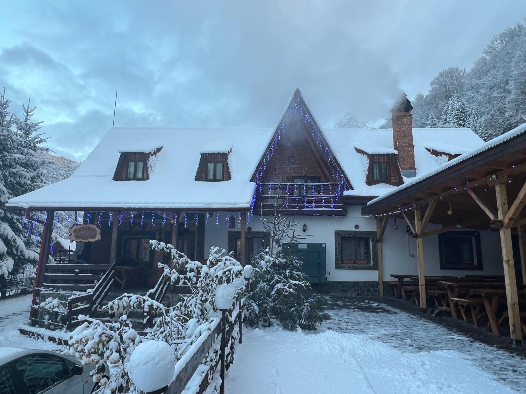 Cabana Rausor Campulung Dış mekan fotoğraf